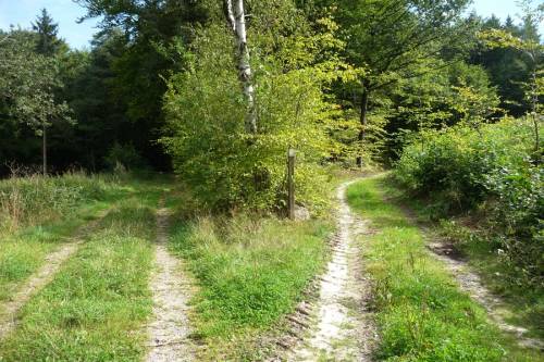 Hier beginnt der Weg in den Süsing am Ende der Straße rechts